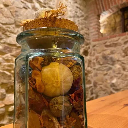 Masia Gemenut, A 5o Metros Del Mar Castell-Platja d’Aro