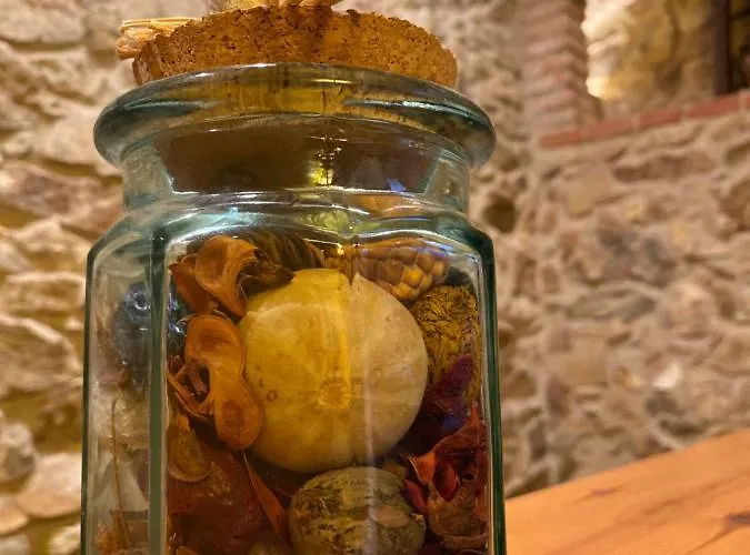 Masia Gemenut, A 5o Metros Del Mar Castell-Platja d'Aro