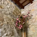 别墅 Masia Gemenut, A 5o Metros Del Mar 普拉加德阿罗