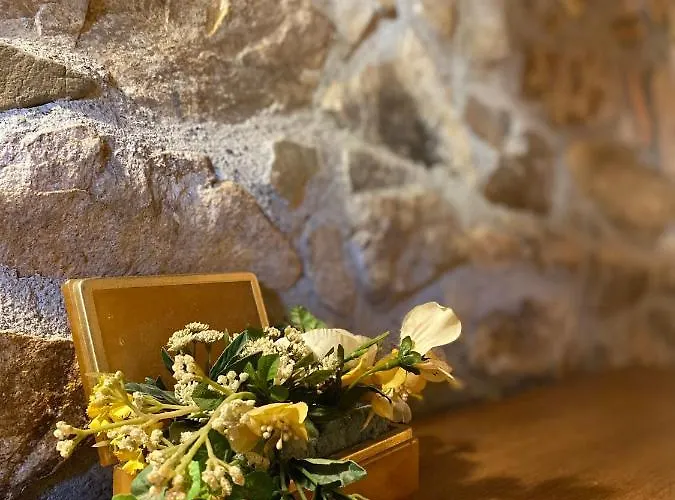 Villa Masía Gemenut, A 5o Metros Del Mar