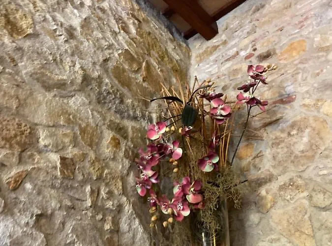 Villa Masía Gemenut, A 5o Metros Del Mar Platja d'Aro (Playa de Aro)