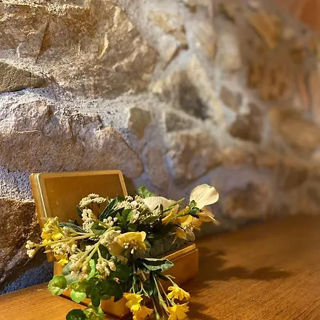 Villa Masia Gemenut, A 5o Metros Del Mar